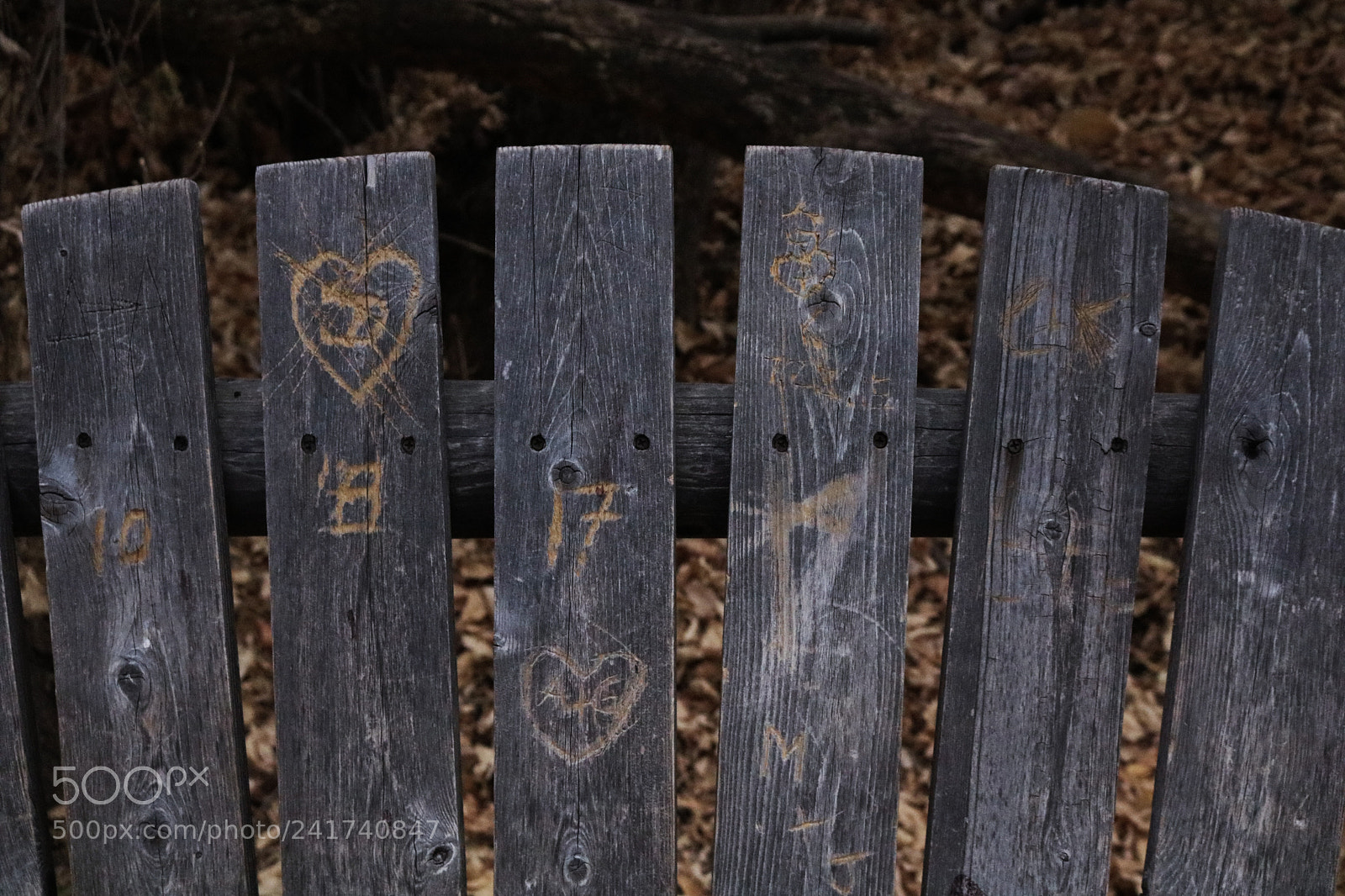 Canon EOS 750D (EOS Rebel T6i / EOS Kiss X8i) sample photo. Wood bench photography