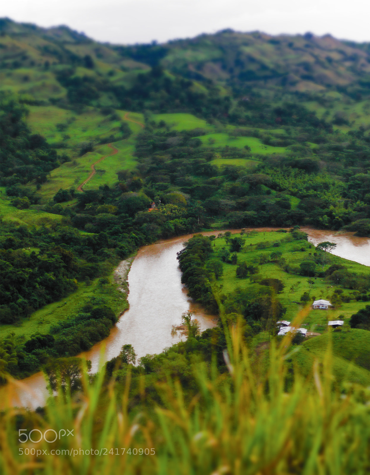 Canon EOS 60D sample photo. Risaralda photography