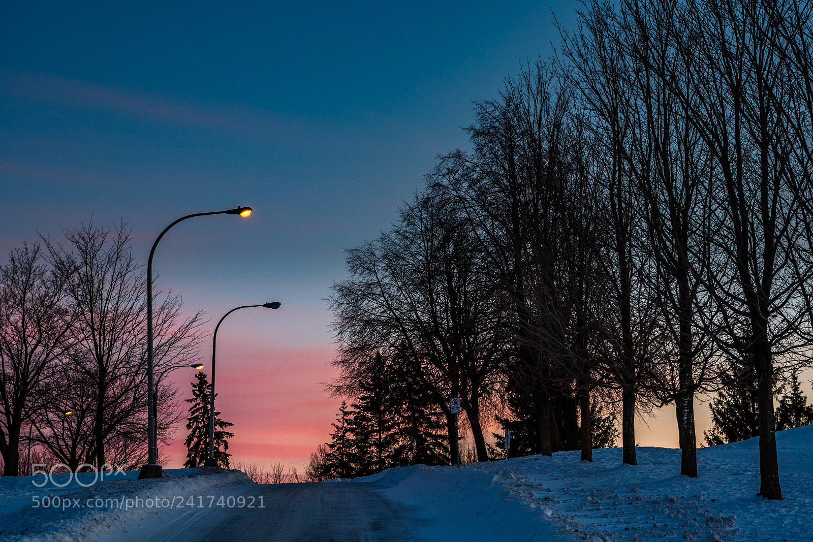 Nikon D500 sample photo. Driving into pink sunset. photography