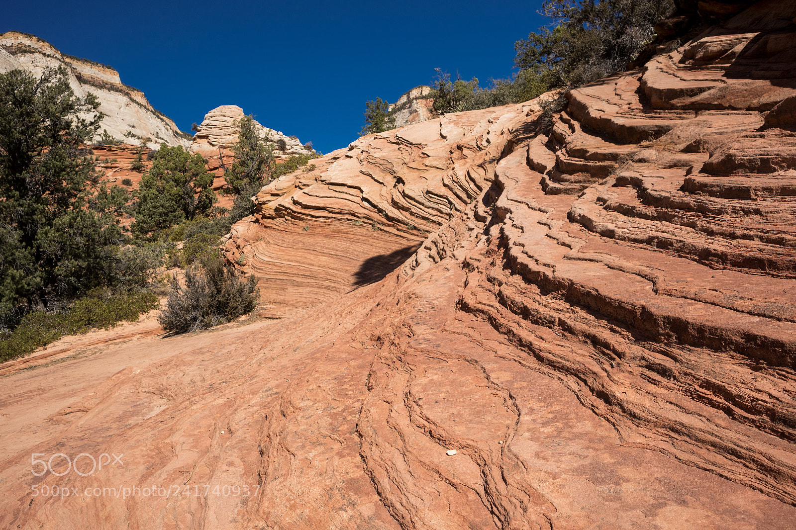 Canon EOS M5 sample photo. Zion sandstone photography