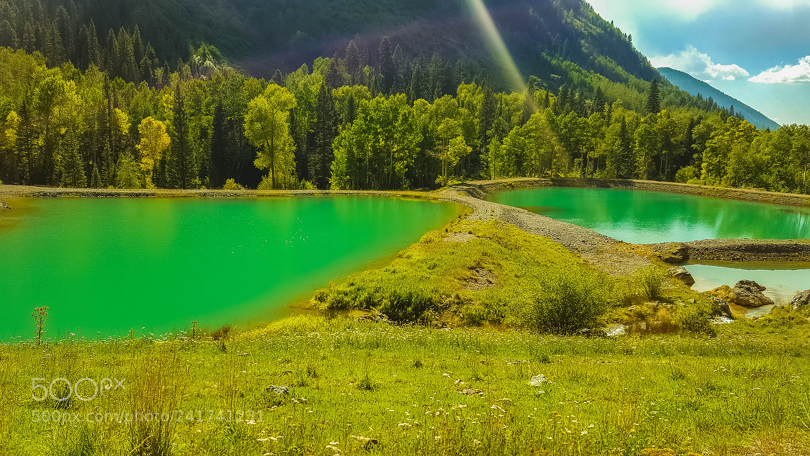 Samsung GALAXY S6 edge sample photo. Green spectacle - a photography