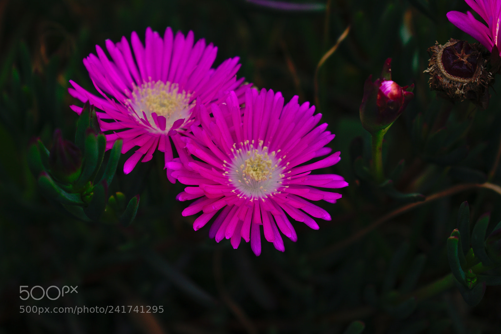 Nikon D3400 sample photo. ? photography
