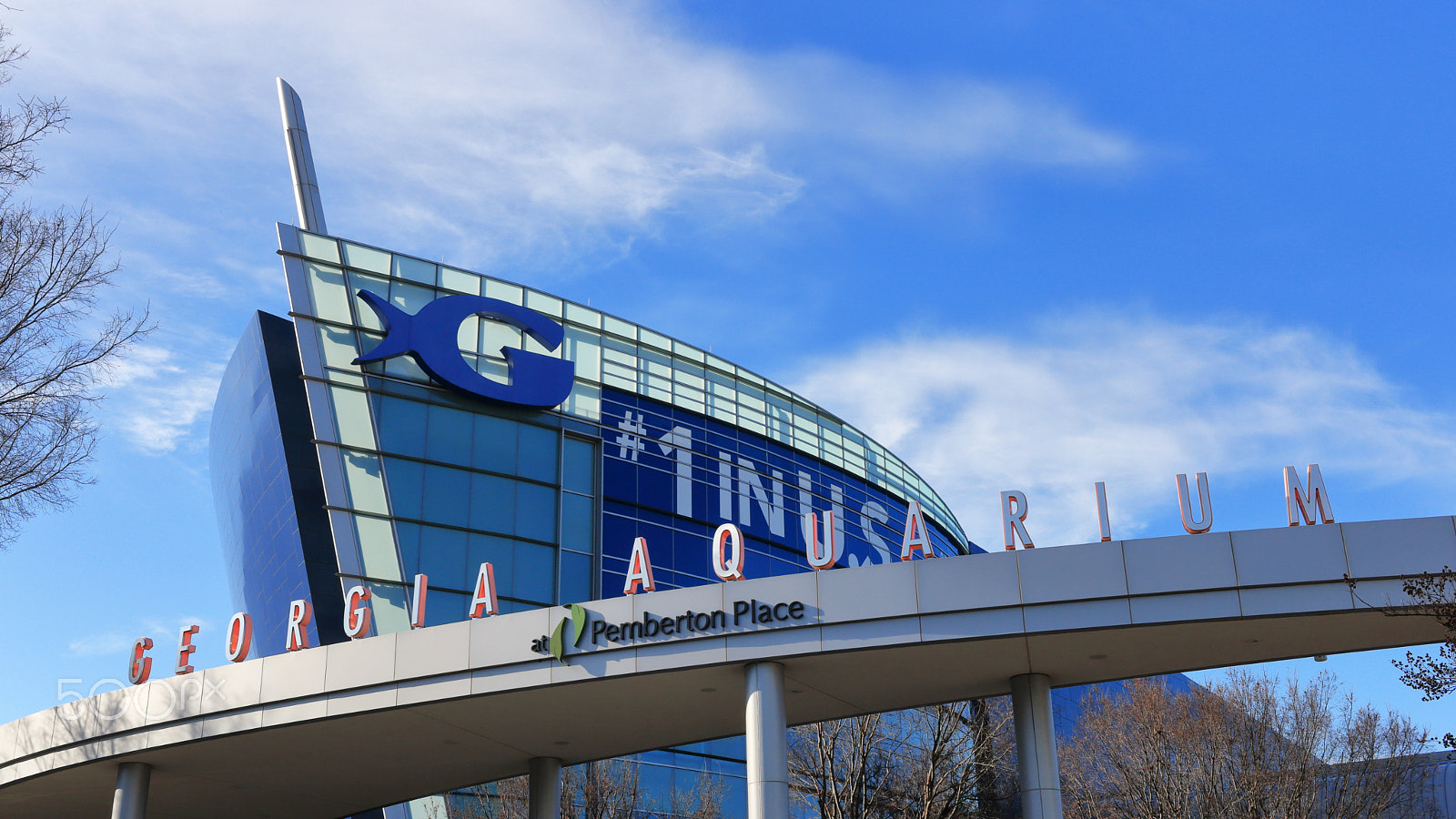 Canon EF-S 24mm F2.8 STM sample photo. Georgia aquarium photography