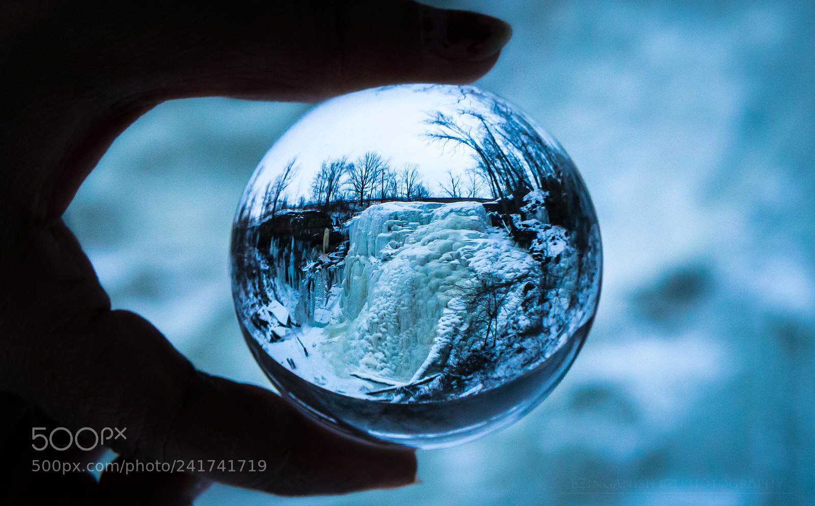 Canon EOS 600D (Rebel EOS T3i / EOS Kiss X5) sample photo. Frozen in a ball photography