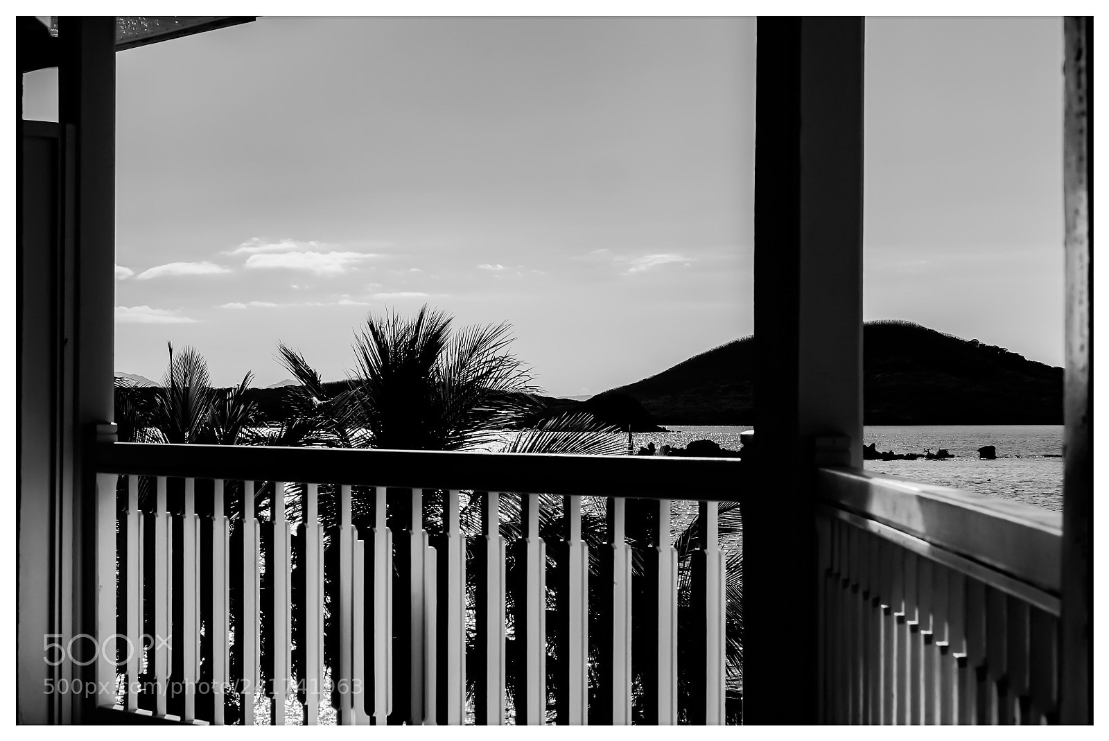 Sony a7S sample photo. Contre-jour photography