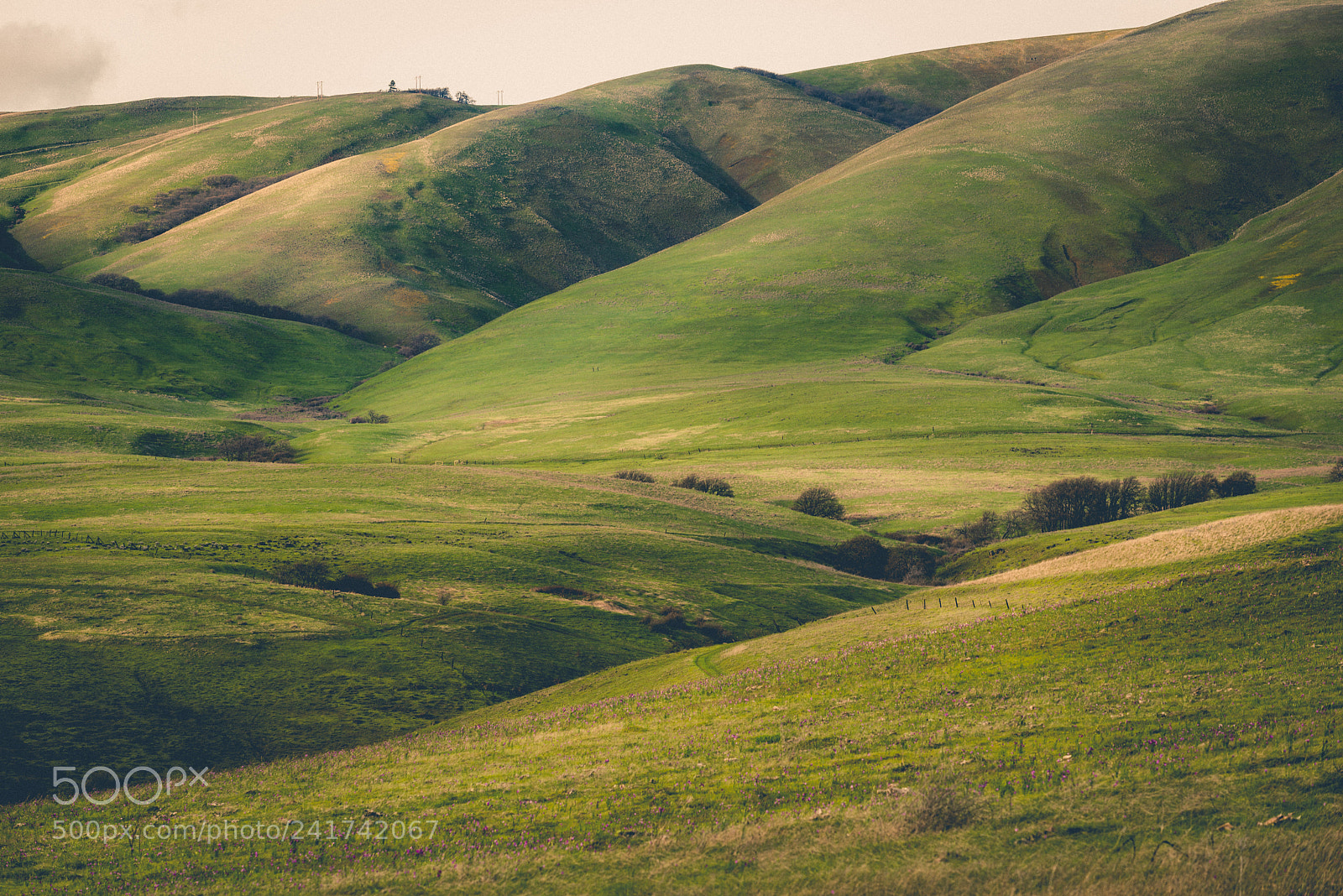 Nikon D800 sample photo. Rolling hills in the photography