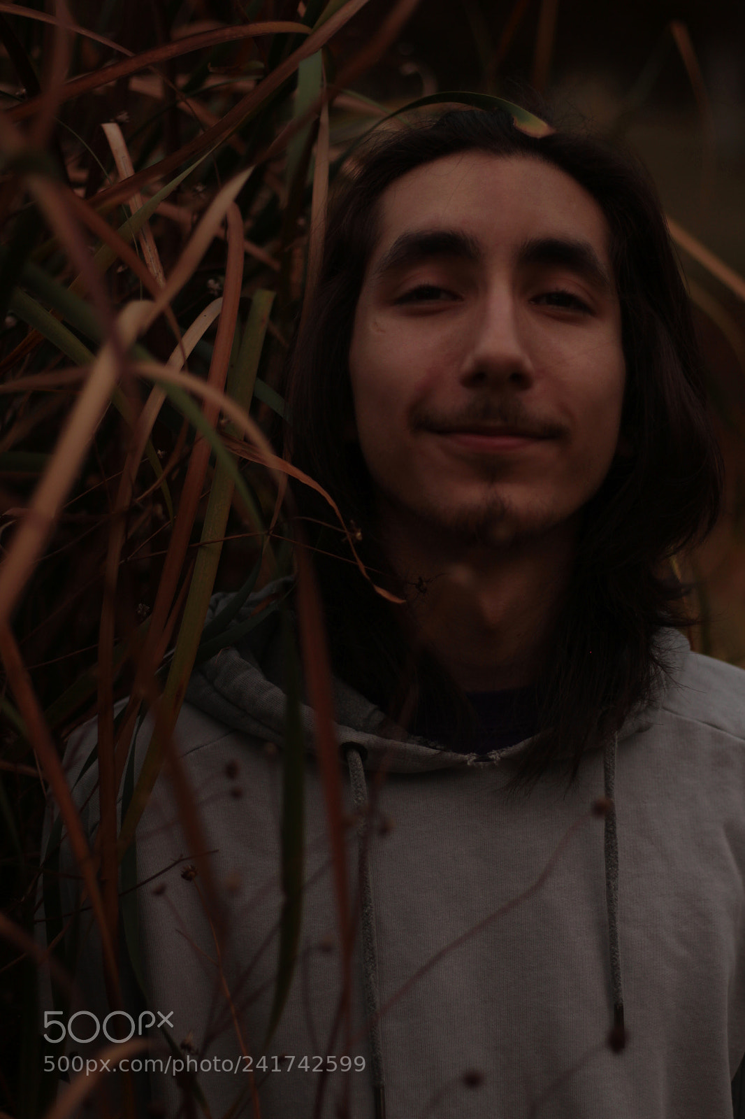 Canon EOS 700D (EOS Rebel T5i / EOS Kiss X7i) sample photo. Andre at the park photography
