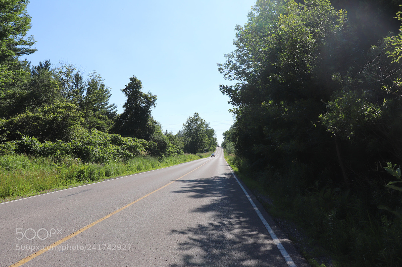Canon EOS 800D (EOS Rebel T7i / EOS Kiss X9i) sample photo. Img photography