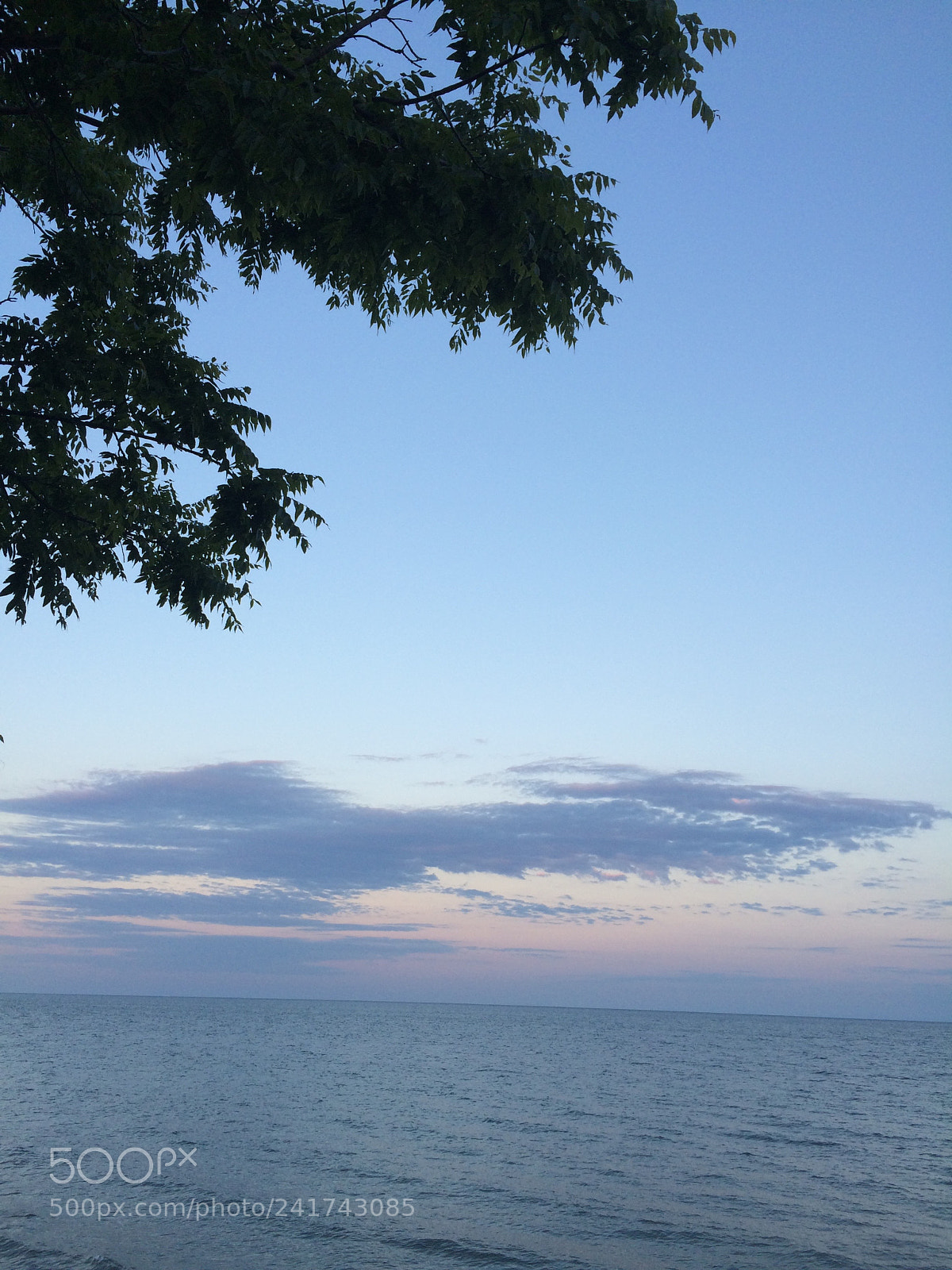 Apple iPhone 5s sample photo. Img photography
