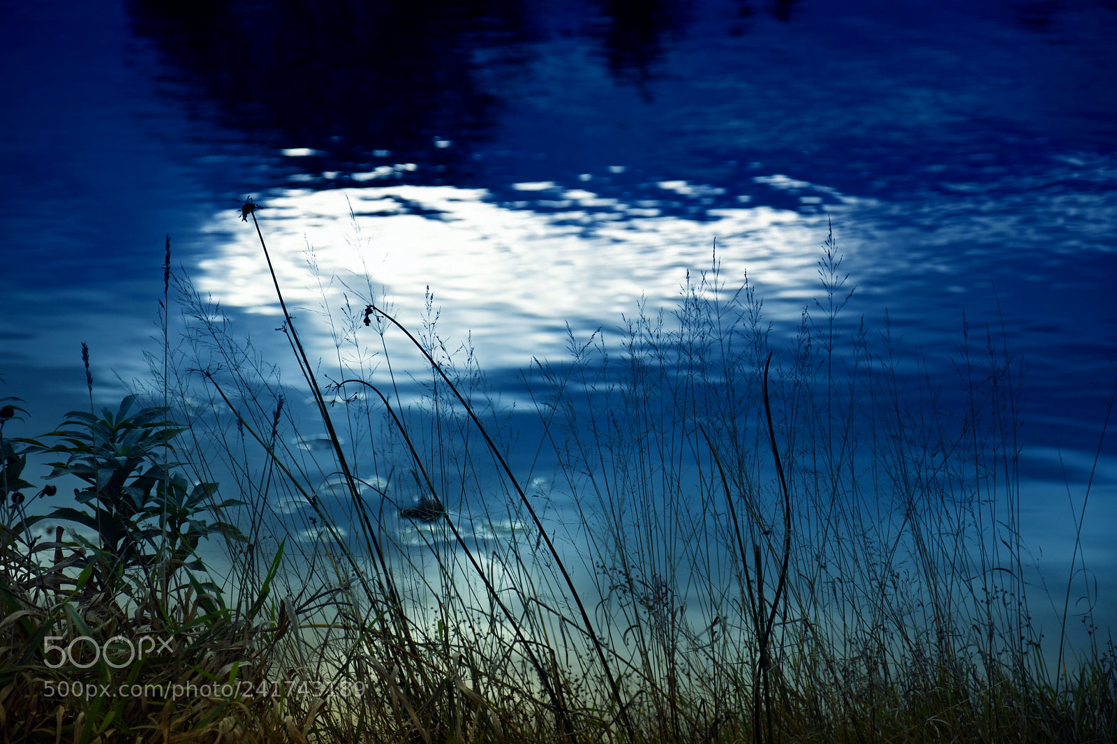 Nikon D7200 sample photo. One night photography
