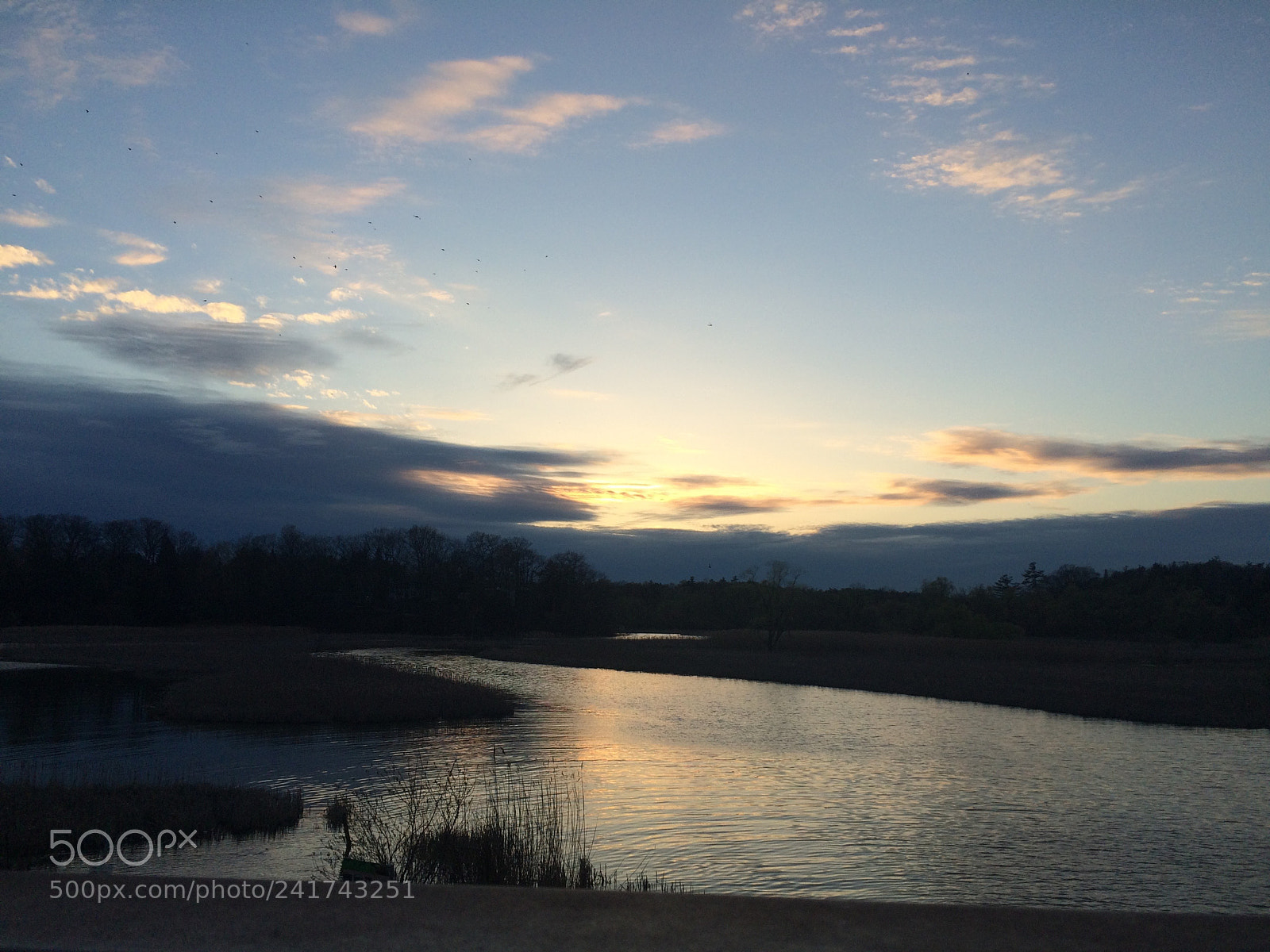 Apple iPhone 5s sample photo. Img photography