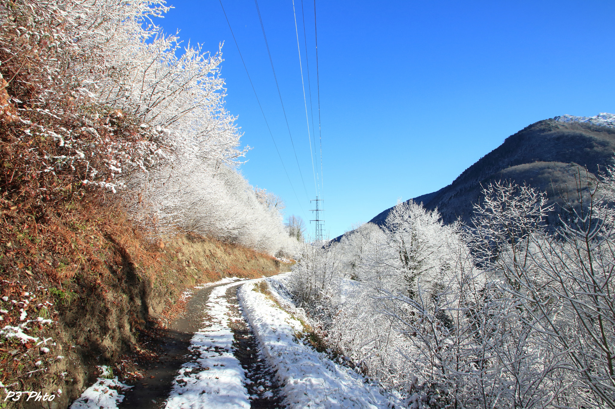 Sigma 10-20mm F3.5 EX DC HSM sample photo. Img photography