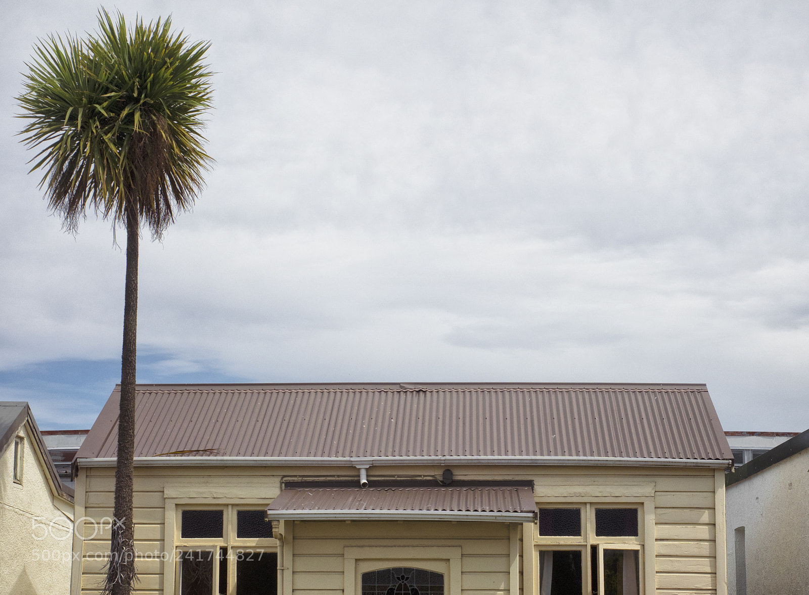Olympus OM-D E-M1 sample photo. Cabbage tree and cottage photography