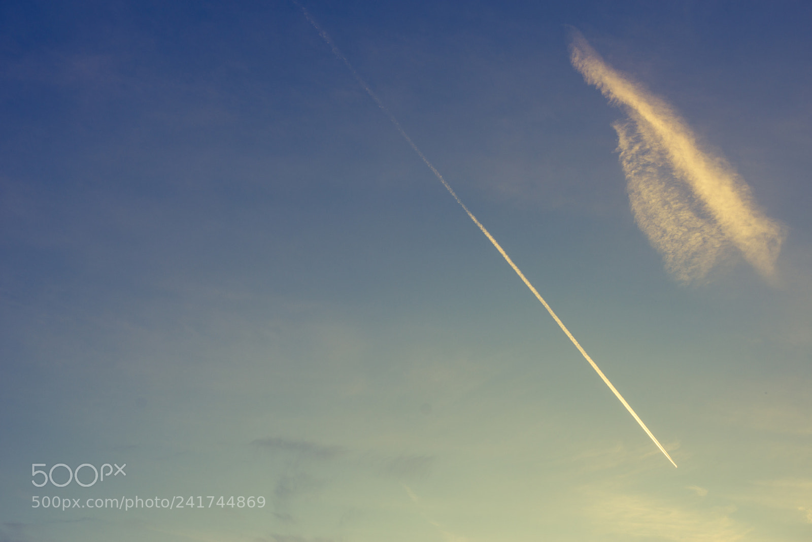 Nikon D800 sample photo. Rocketbn photography