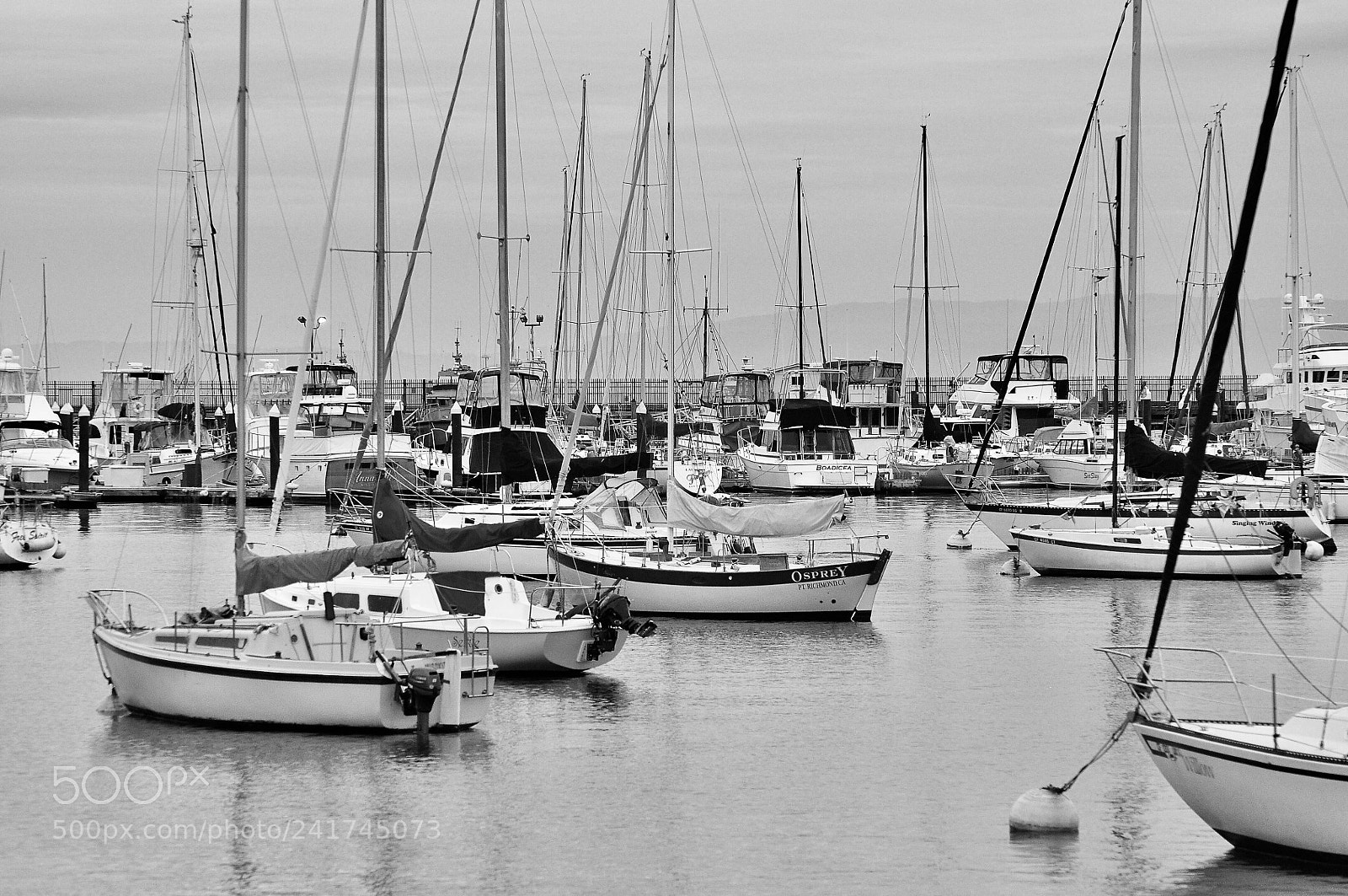Nikon D90 sample photo. Monterey bay, california photography