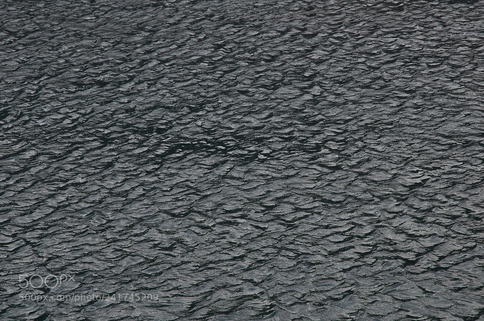 Nikon D300S sample photo. Wind & water photography