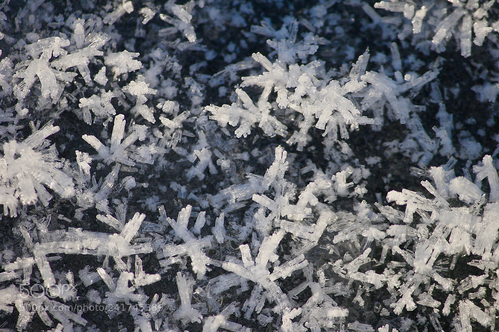 Canon EOS 400D (EOS Digital Rebel XTi / EOS Kiss Digital X) sample photo. Nice ice photography