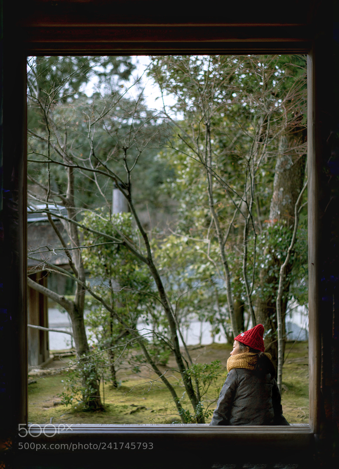 Sony a7 II sample photo. Untitled photography