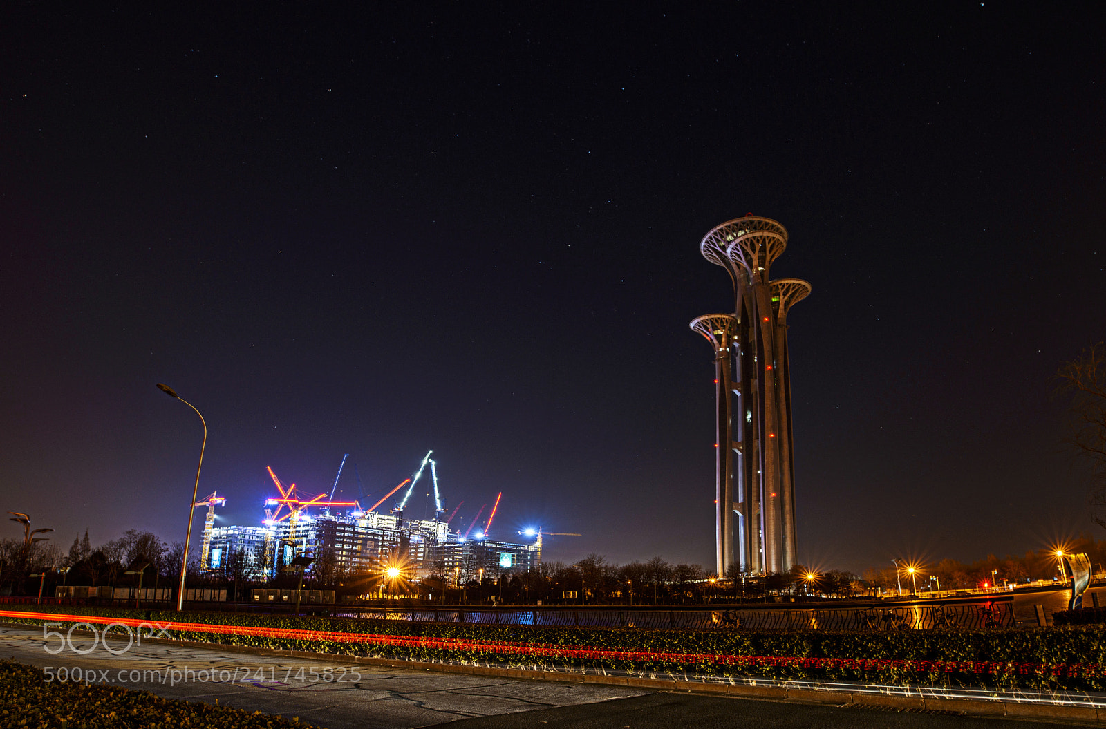 Nikon D800 sample photo. 动与静 photography