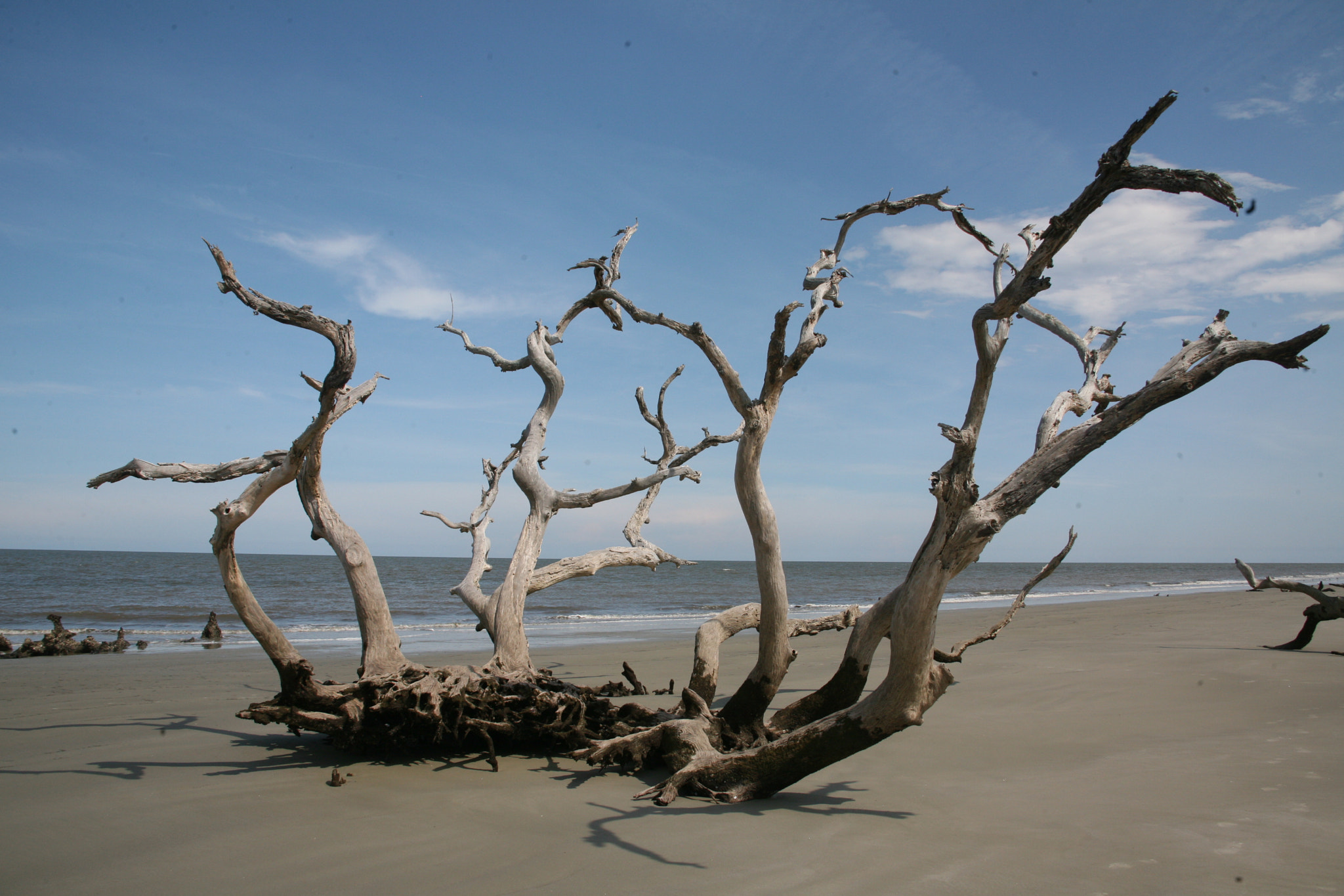 Canon EOS 5D + Canon EF 28-135mm F3.5-5.6 IS USM sample photo. Jekyll island photography