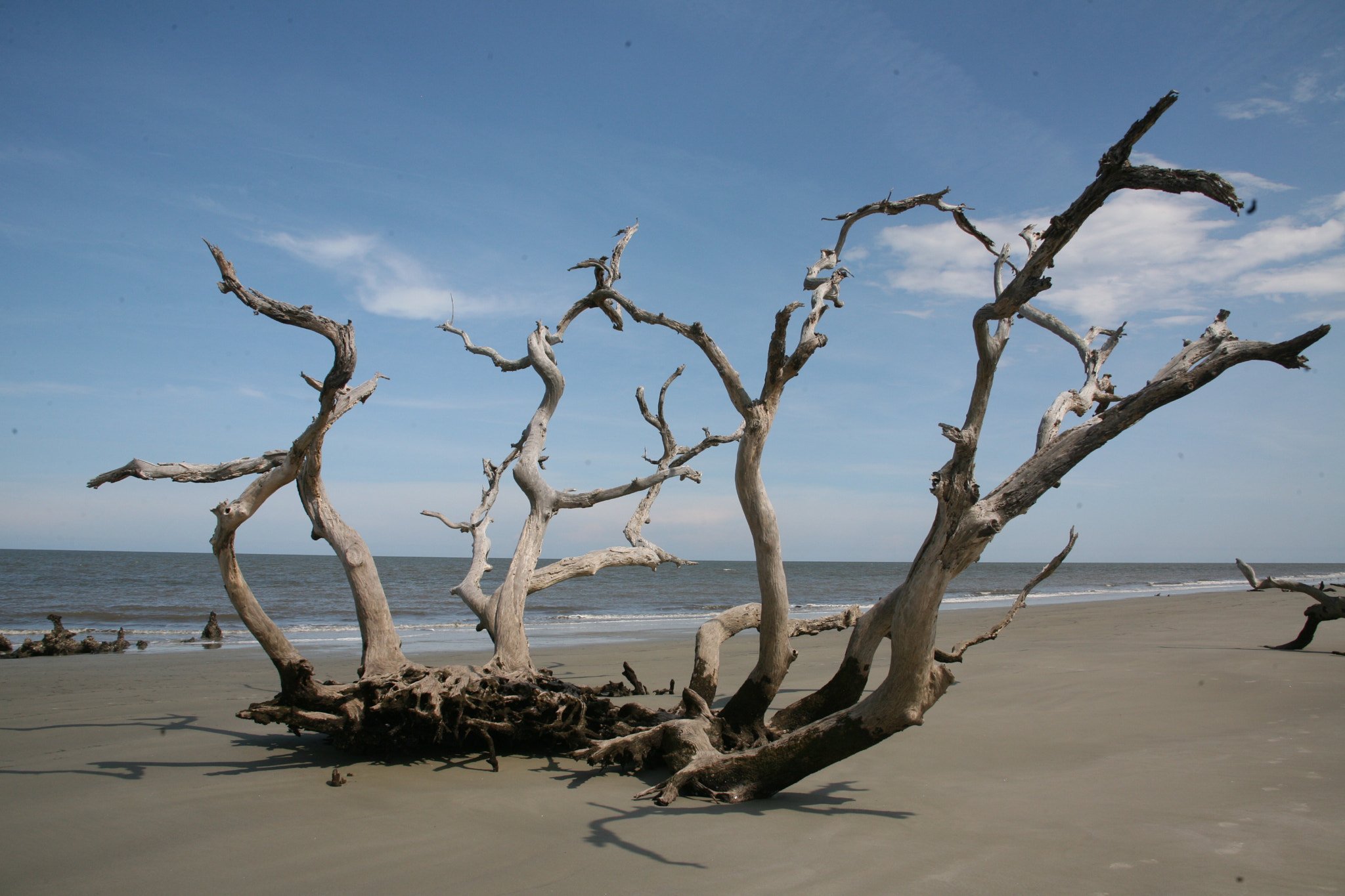 Canon EF 28-135mm F3.5-5.6 IS USM sample photo. Jekyll island photography
