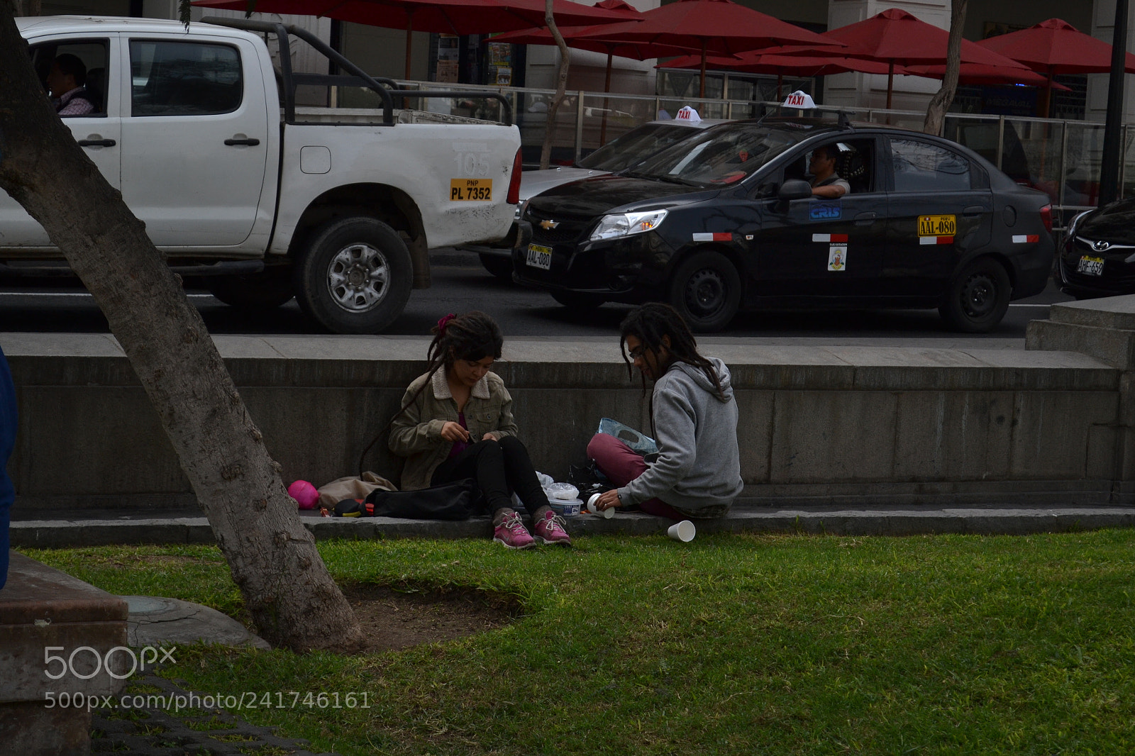 Nikon D3100 sample photo. Untitled photography