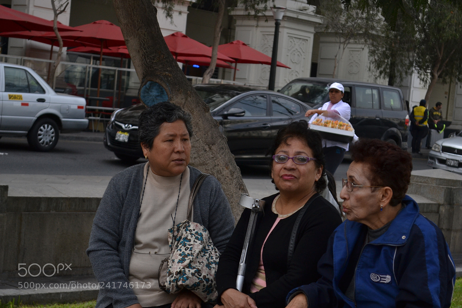 Nikon D3100 sample photo. Untitled photography