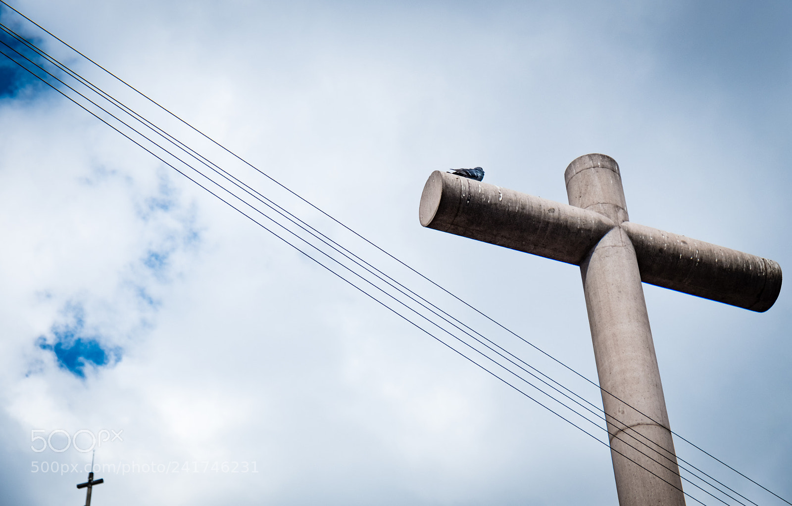 Fujifilm X-T20 sample photo. Bird photography