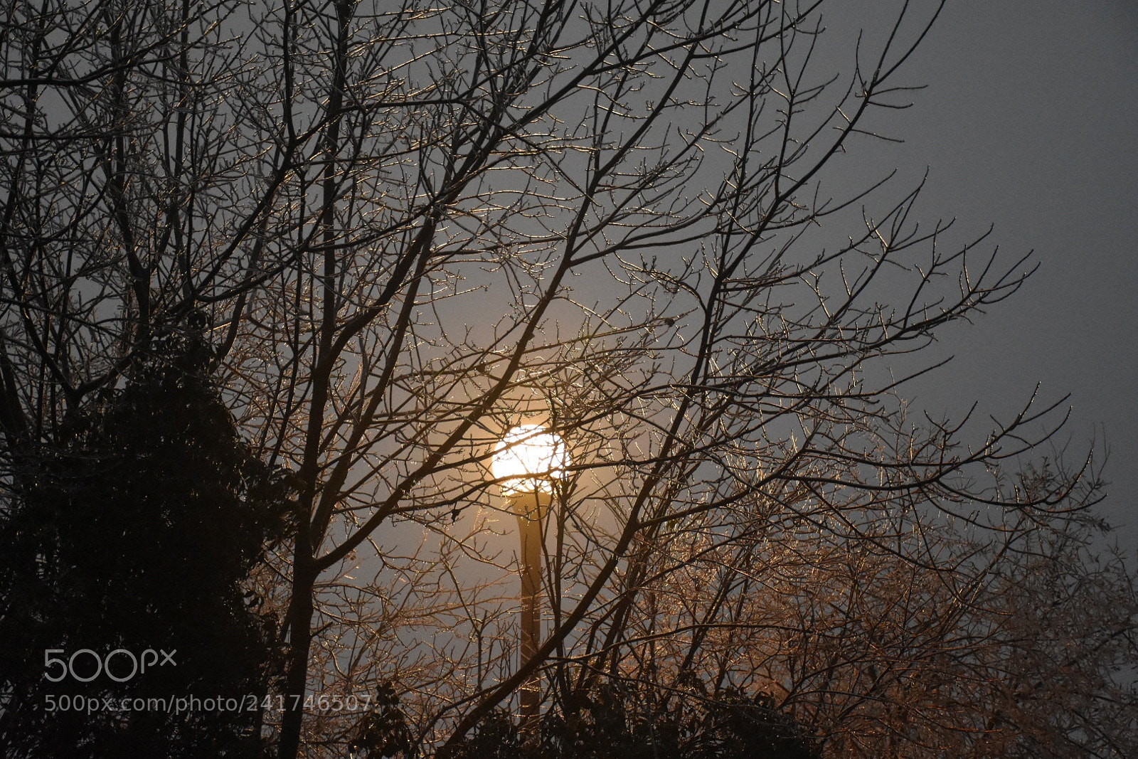 Nikon D7200 sample photo. 灯火阑珊 photography