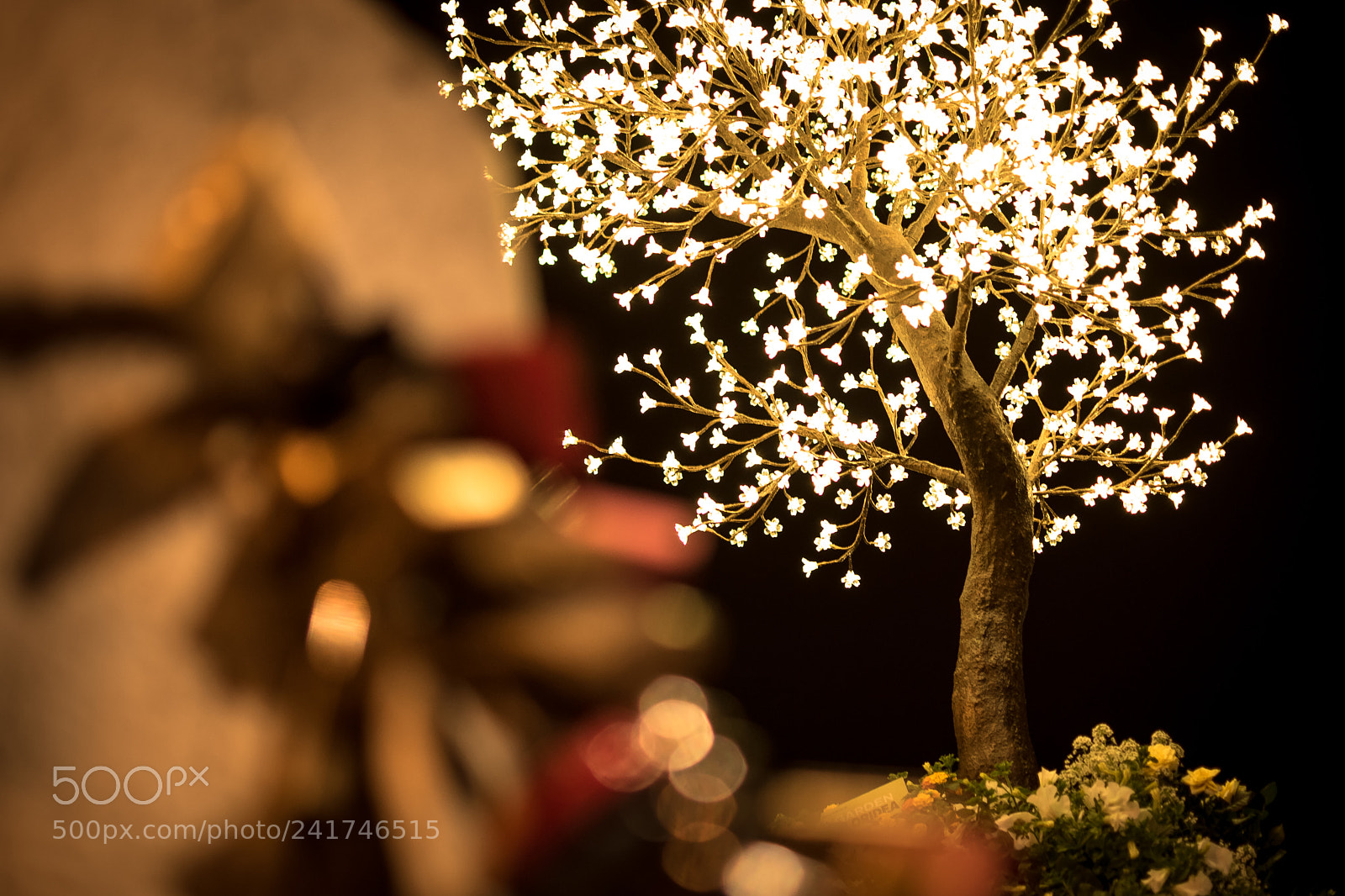 Nikon D5500 sample photo. Tree of light. photography