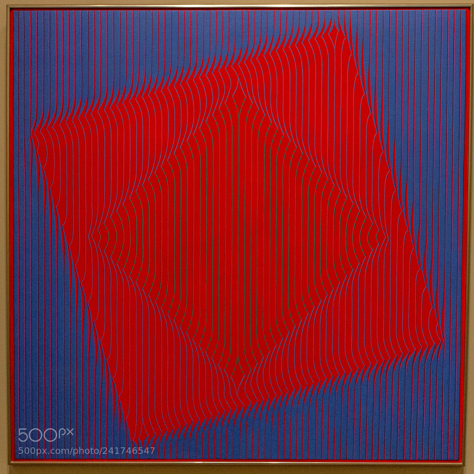 Nikon D7100 sample photo. Optical art photography