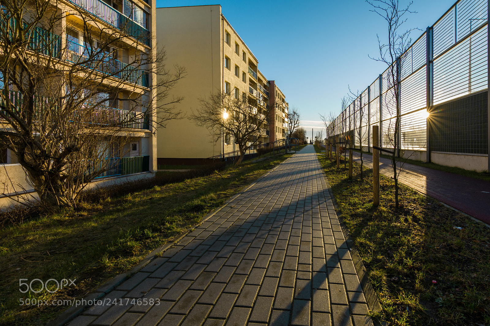 Nikon D7100 sample photo. Sidewalk and reflection of photography