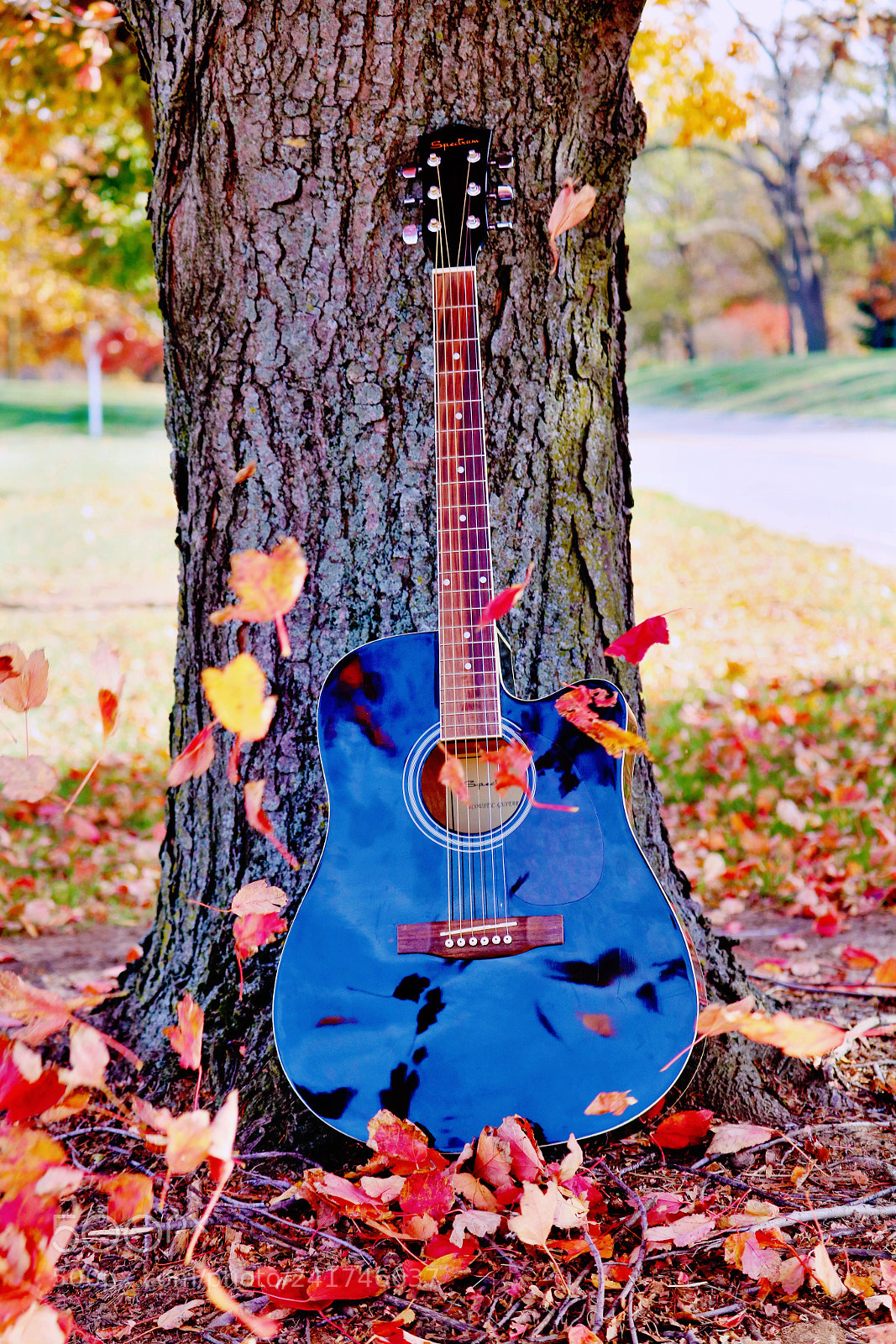 Canon EOS 750D (EOS Rebel T6i / EOS Kiss X8i) sample photo. Guitar photography