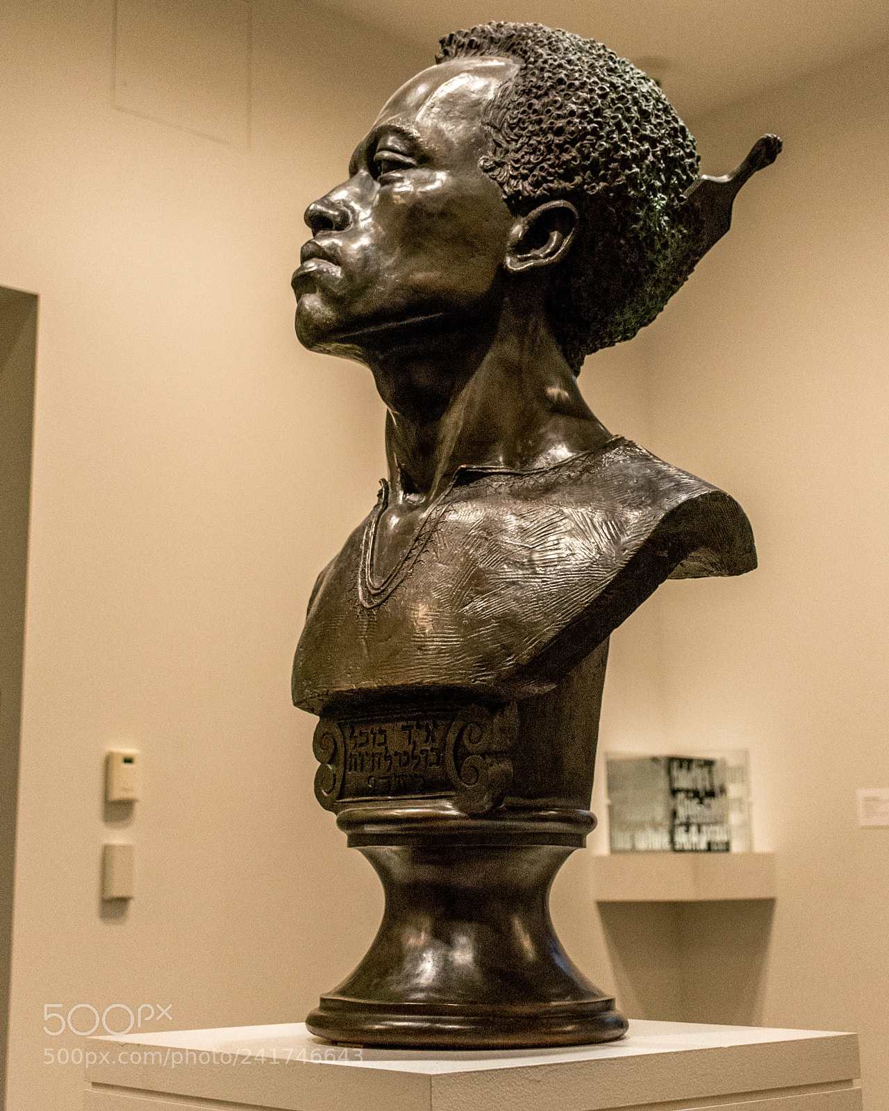 Nikon D7100 sample photo. Proud bust photography