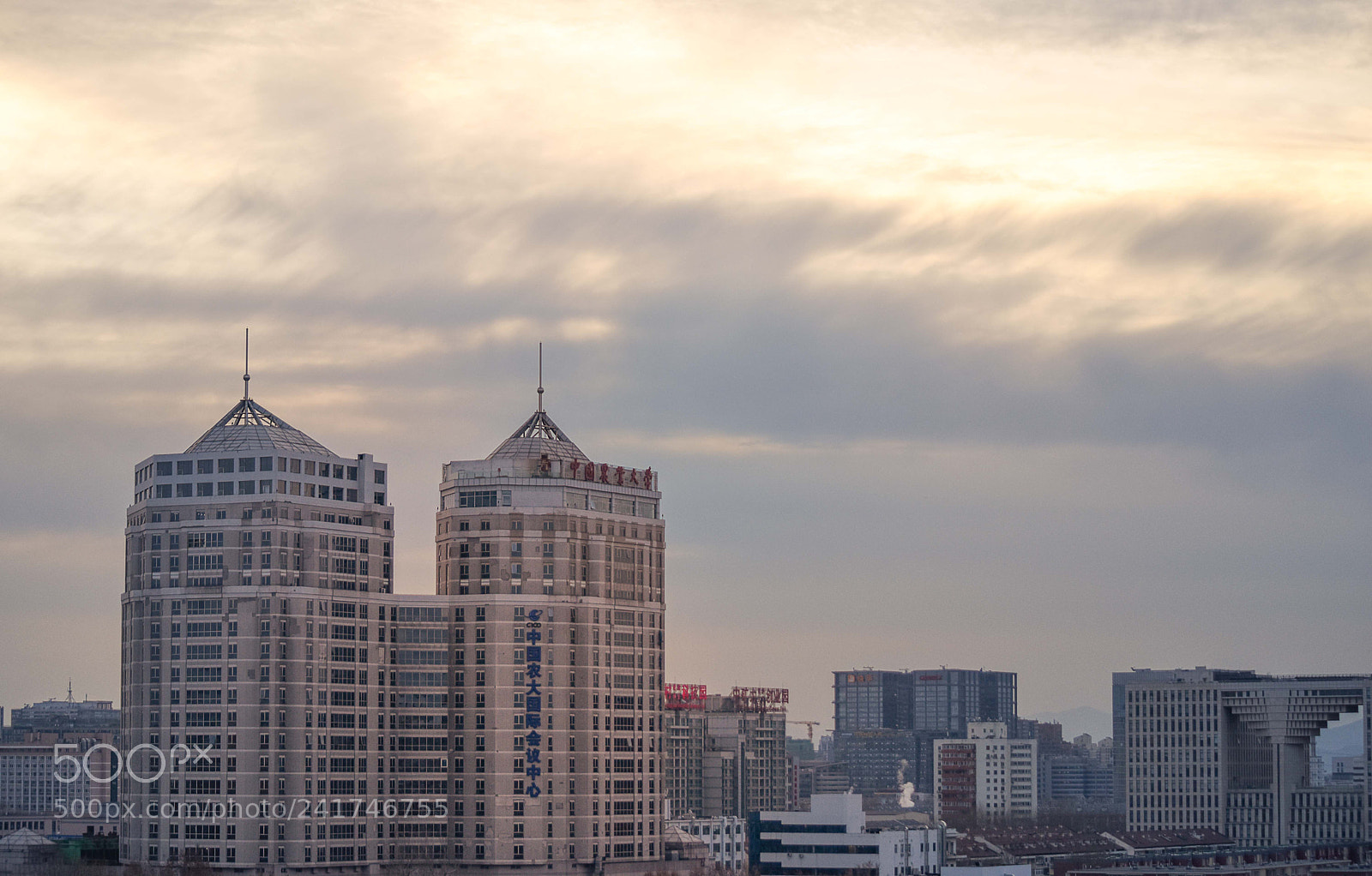 Nikon D5600 sample photo. Good afternoon photography