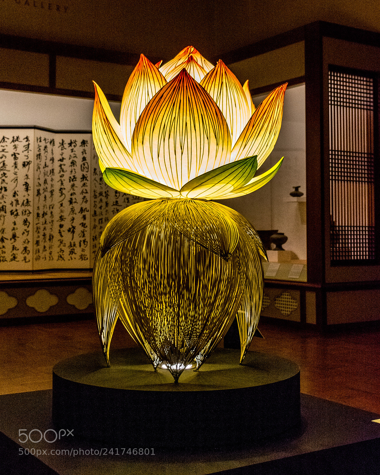 Nikon D7100 sample photo. Lighted lotus photography
