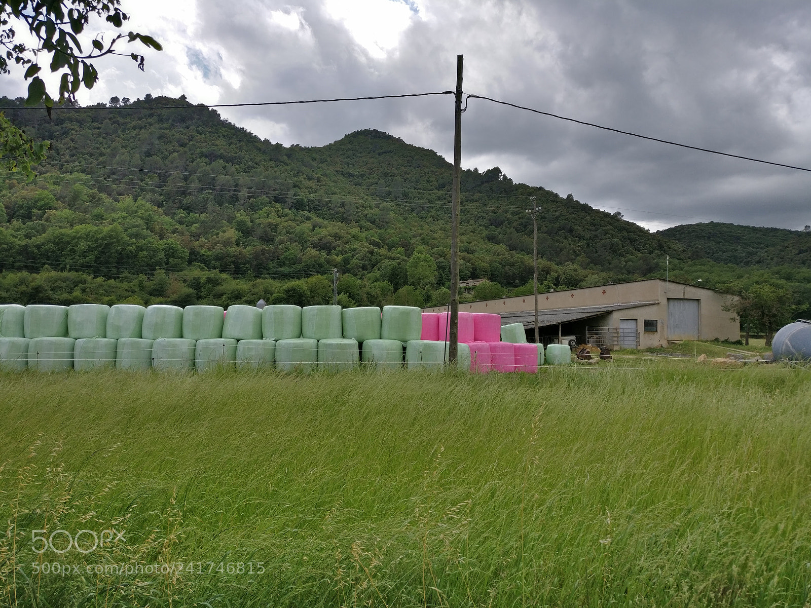 OnePlus A3003 sample photo. Img_20170520_160304.jpg photography