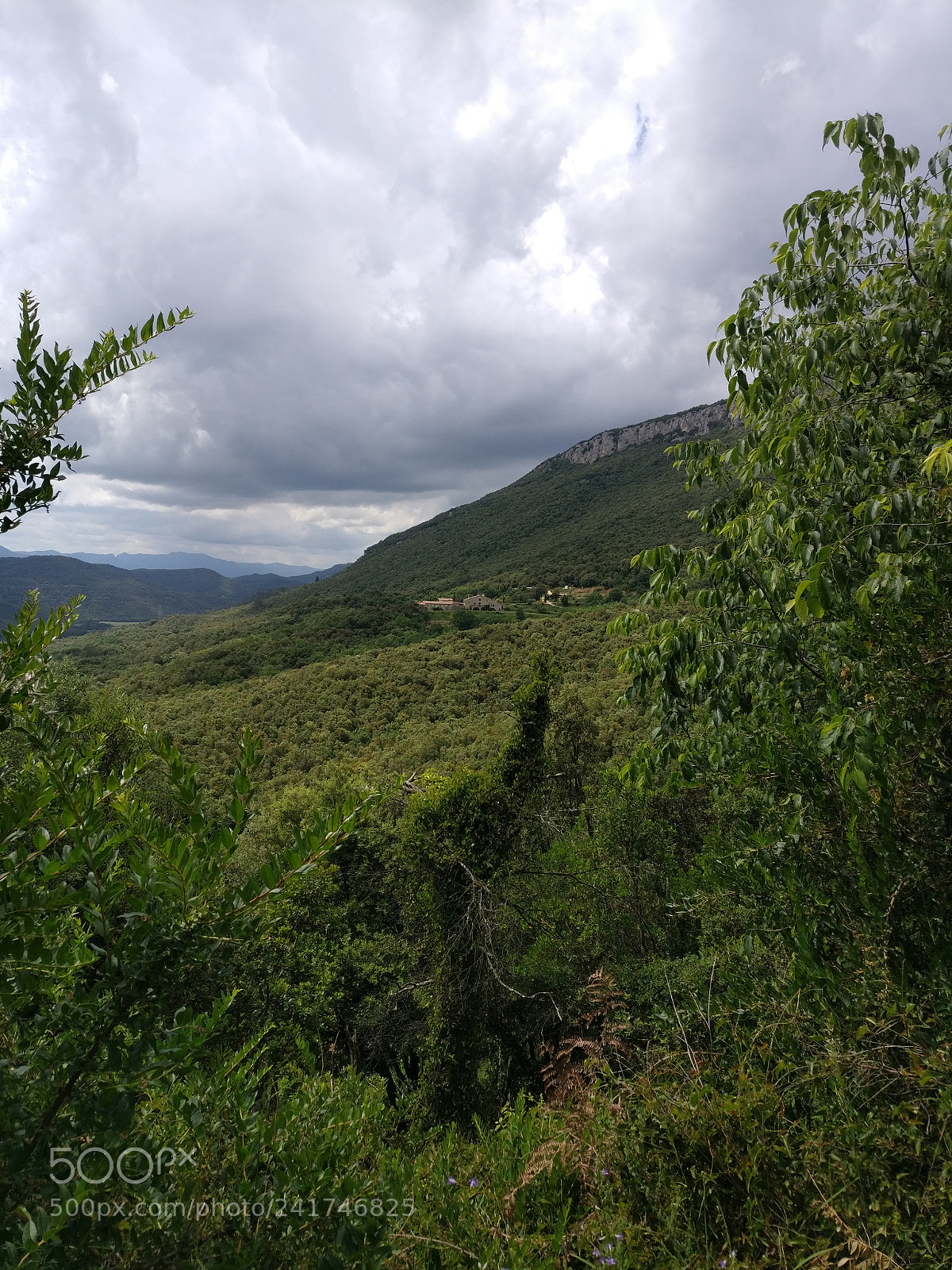 OnePlus A3003 sample photo. Img_20170520_152528.jpg photography