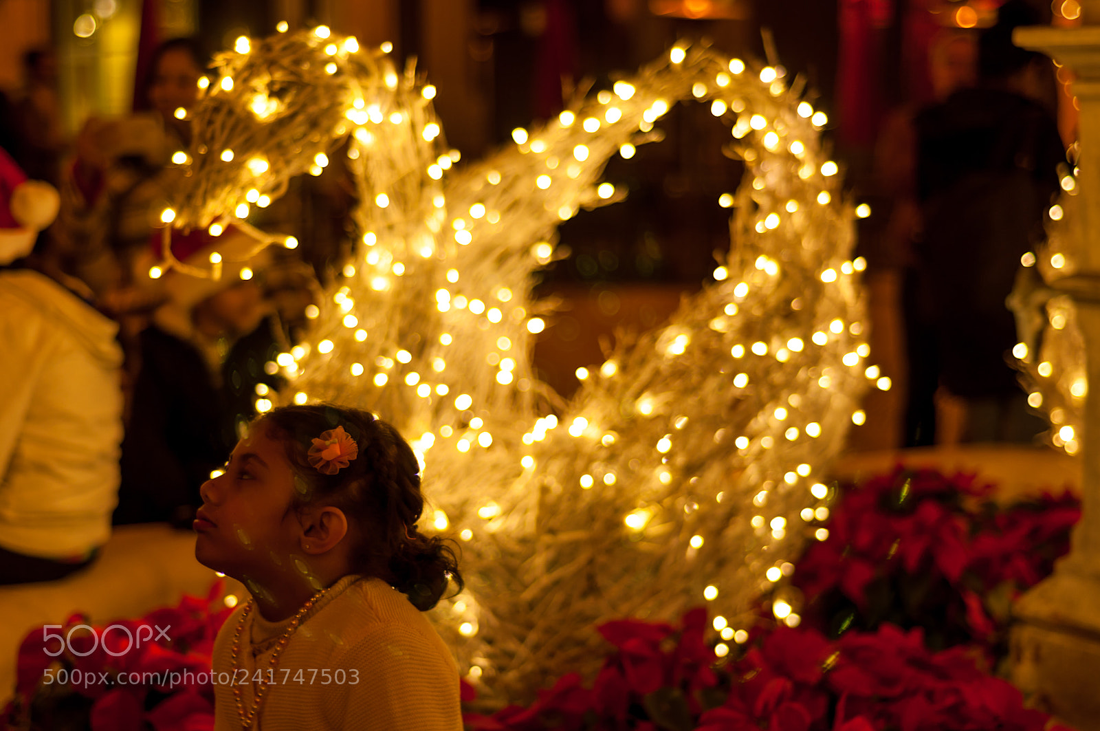 Nikon D90 sample photo. Holiday lights photography
