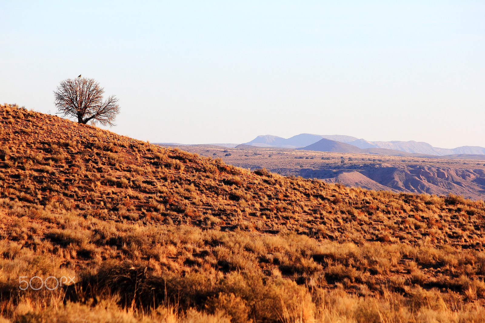 Canon EOS 550D (EOS Rebel T2i / EOS Kiss X4) sample photo. New mexico countryside photography