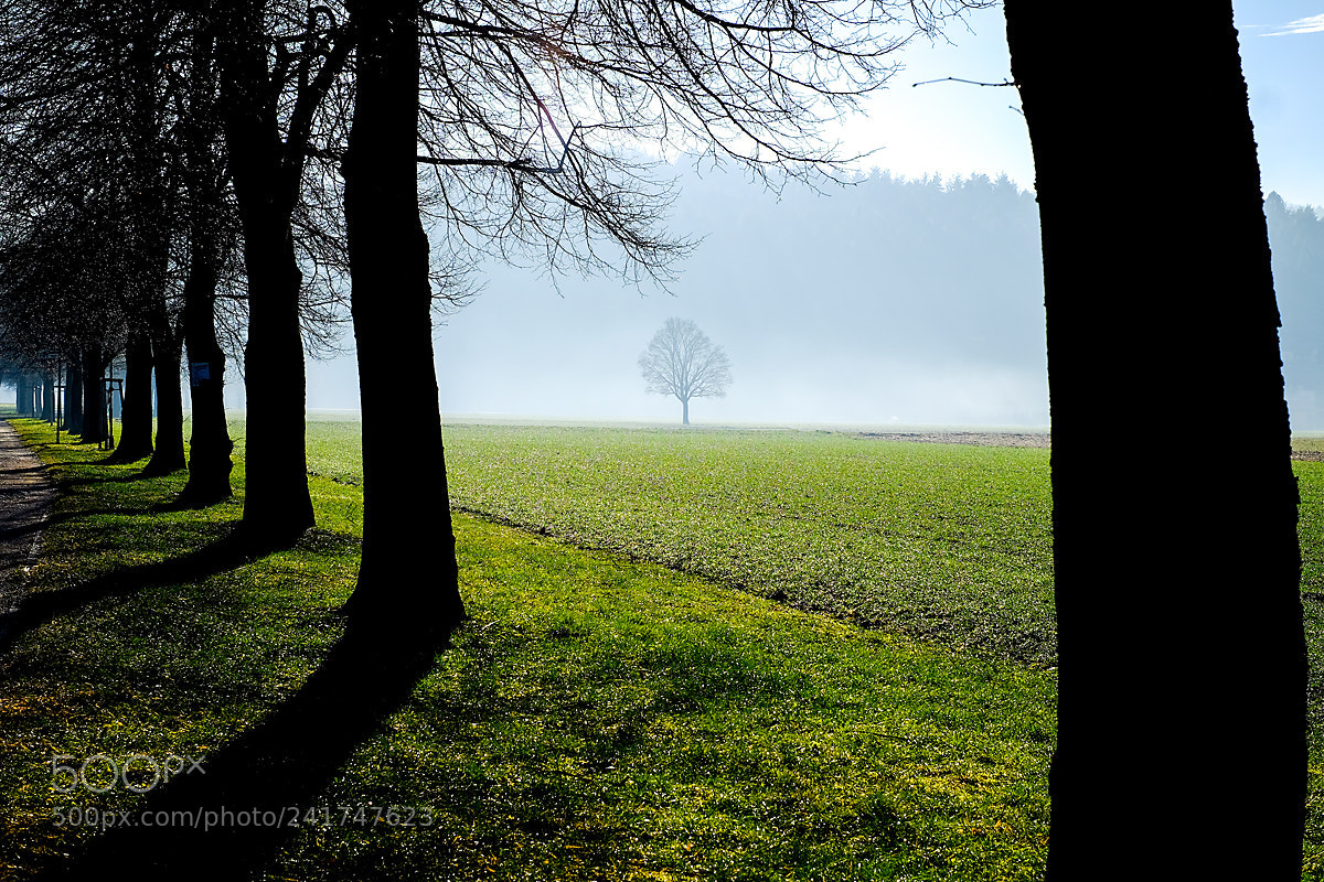 Fujifilm X-T10 sample photo. Mystical photography