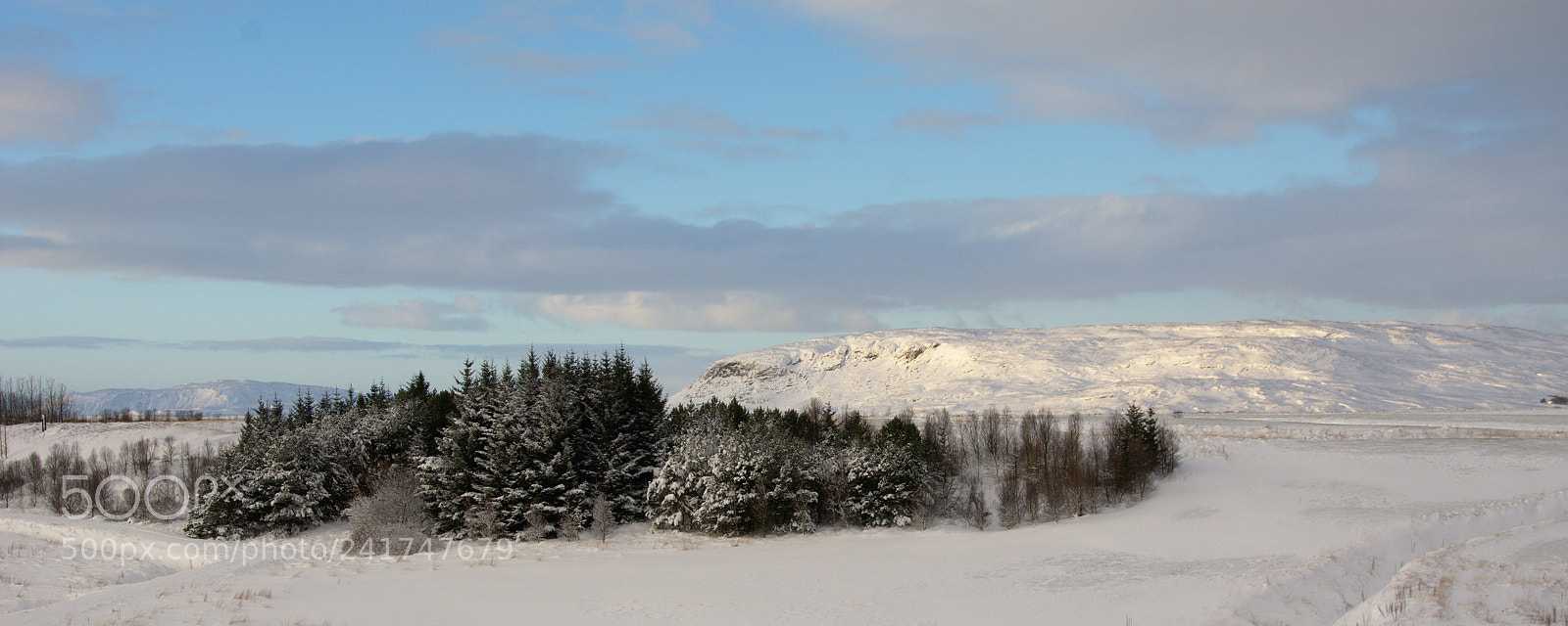 Nikon D7100 sample photo. Winter photography