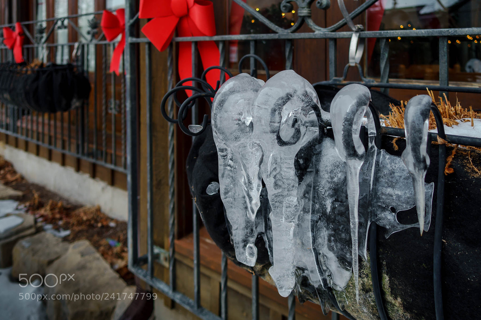 Sony Cyber-shot DSC-RX100 III sample photo. Deep freeze. photography