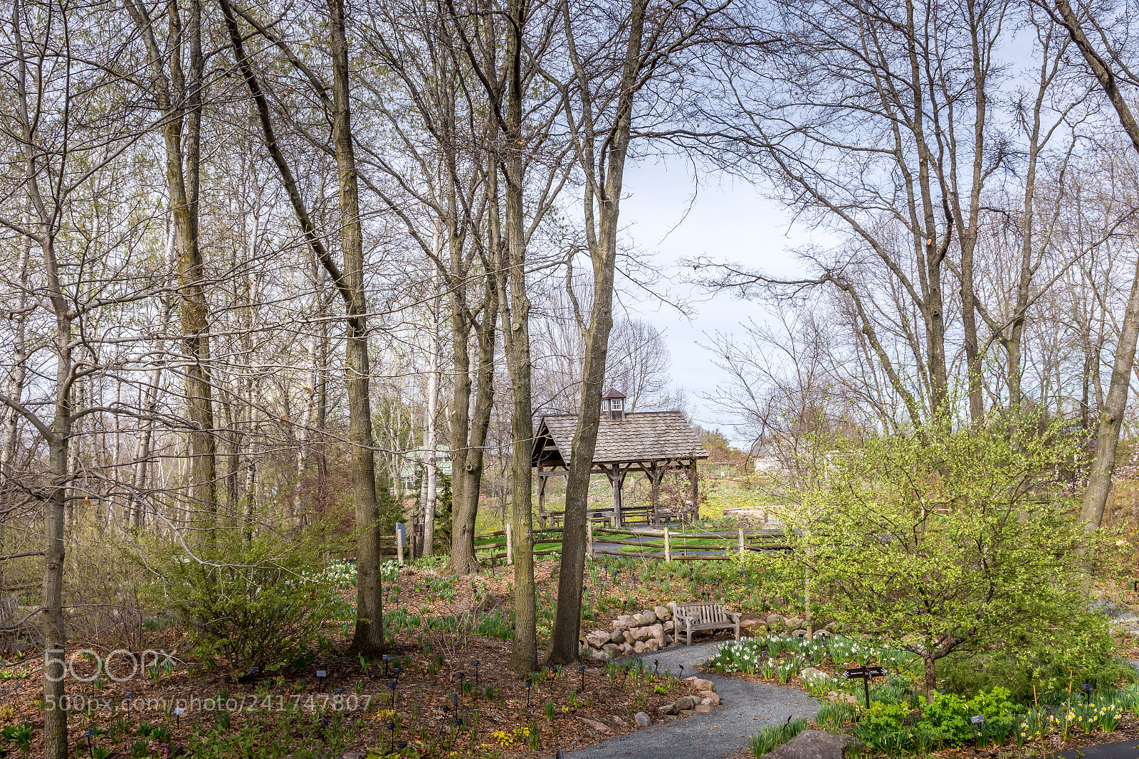 Nikon D7200 sample photo. Botanical garden photography