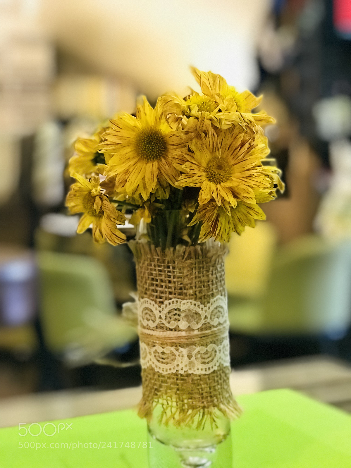 Apple iPhone 7 Plus sample photo. Untitled photography