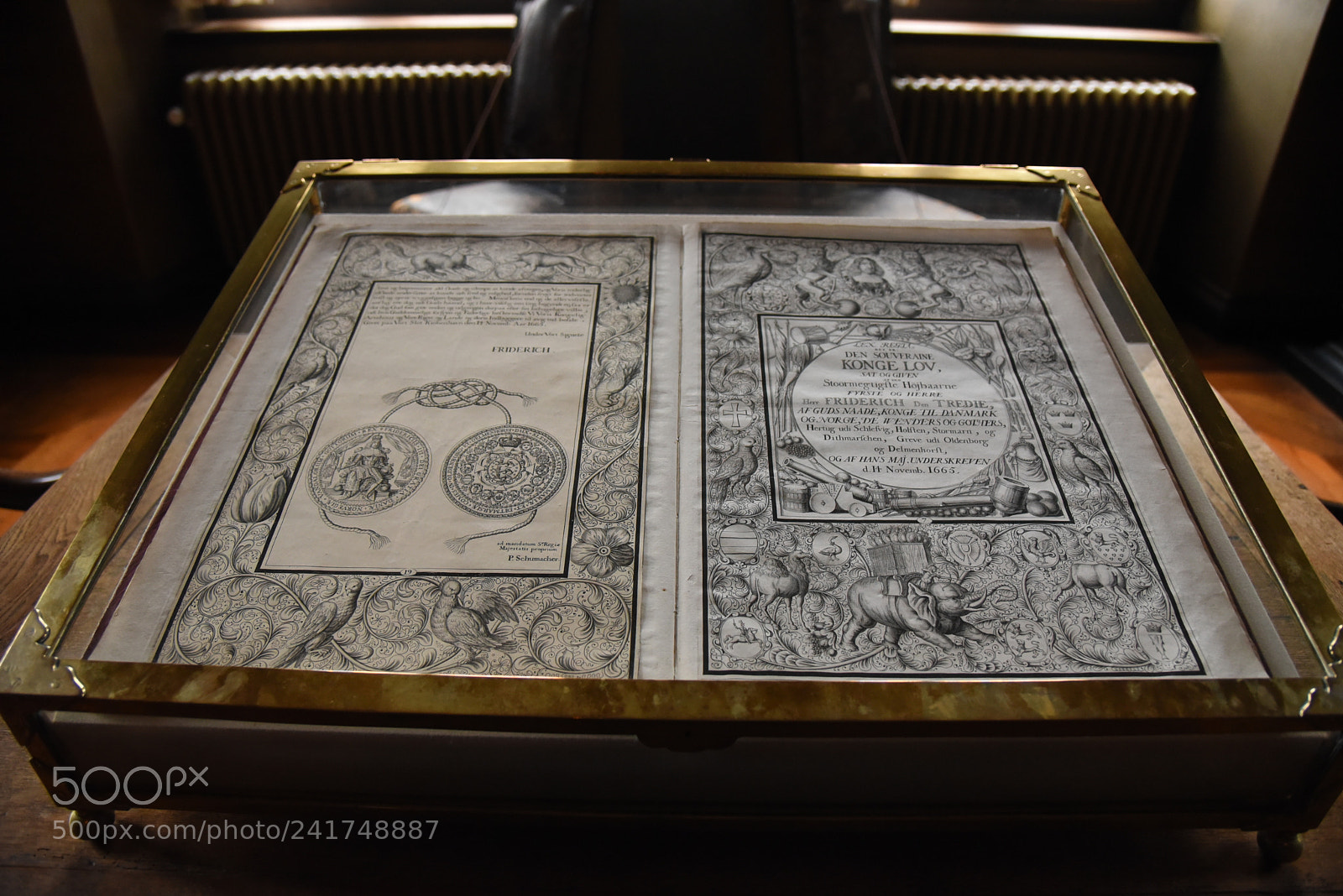 Nikon AF-S Nikkor 24-120mm F4G ED VR sample photo. Dsc photography