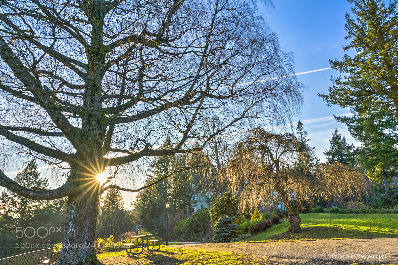 Sony a99 II sample photo. Sunset photography