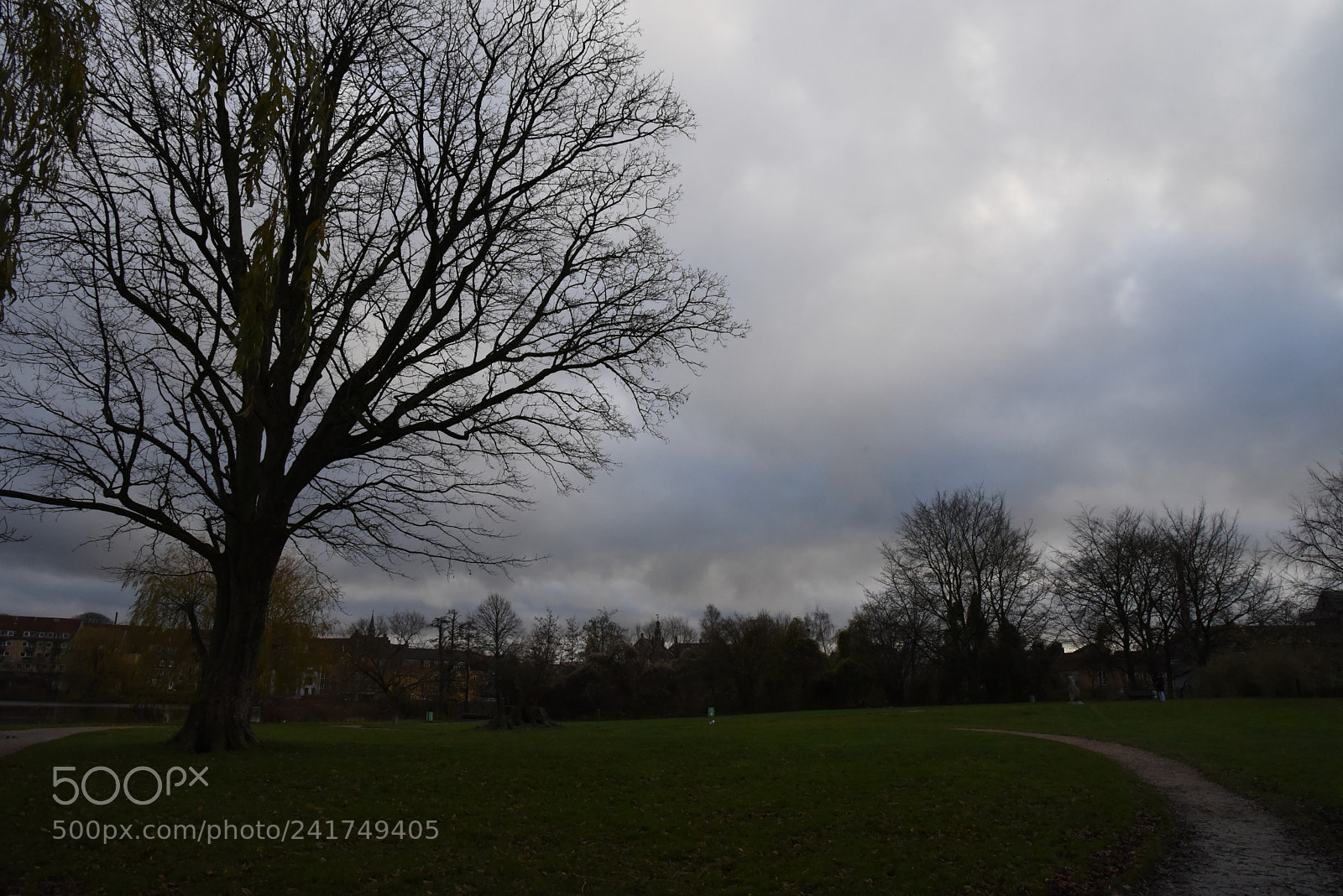 Nikon AF-S Nikkor 24-120mm F4G ED VR sample photo. Dsc photography