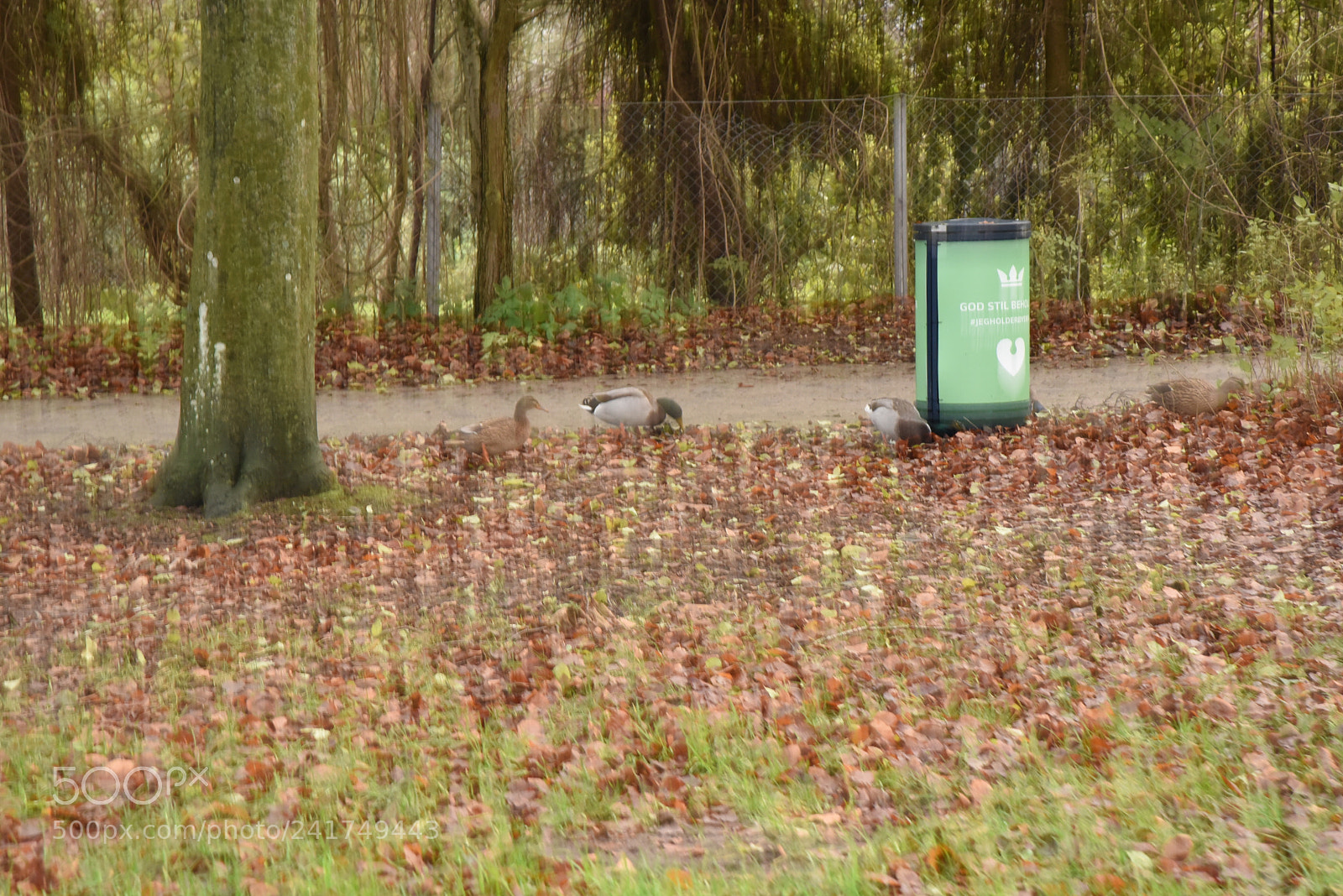 Nikon AF-S Nikkor 24-120mm F4G ED VR sample photo. Dsc photography