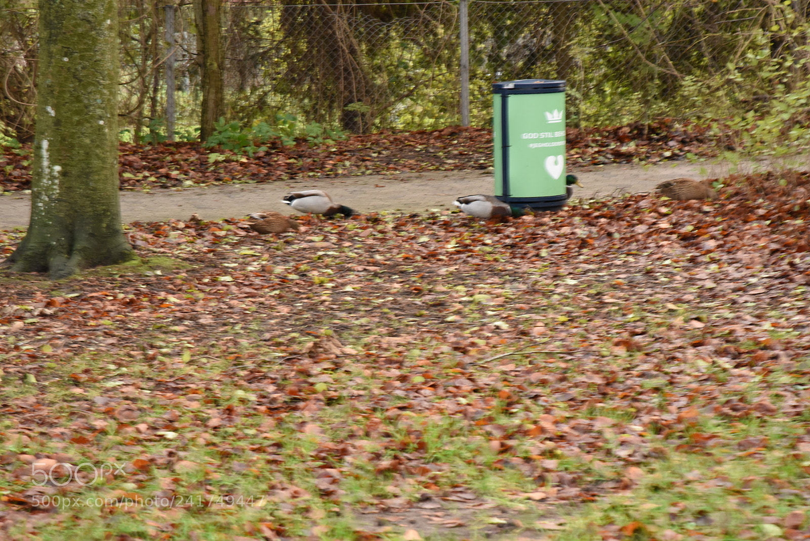Nikon AF-S Nikkor 24-120mm F4G ED VR sample photo. Dsc photography